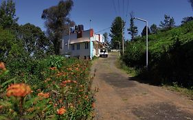 The Wild Wanderer Forest Cottage Stay